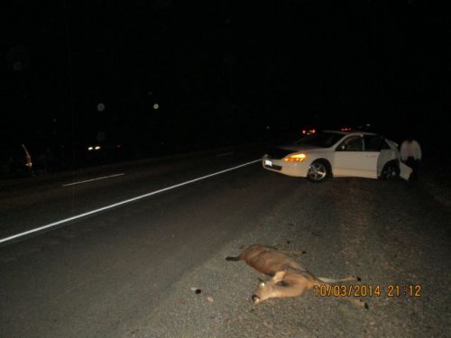 Photo by: Oregon State Police