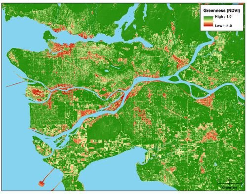 This map shows levels of greenness in Vancouver, British Columbia. Babies in greener areas had highe