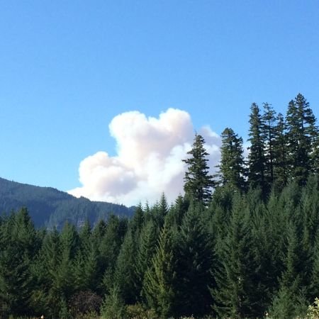 Oregon Governor John Kitzhaber invoked the Emergency Conflagration Act late Monday in response to the 36 Pit Fire burning near Estacada. Photo Courtesy: US Forest Service