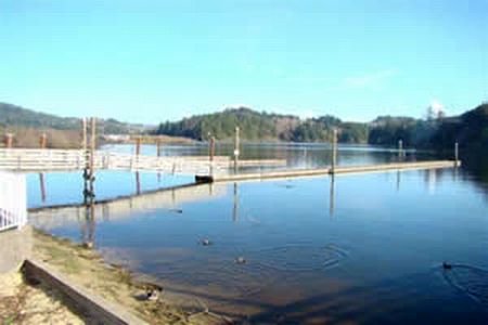 The Oregon Health Authority issued a health advisory on Monday due to high levels of blue-green algae in Tenmile Lakes, located eight miles south of Reedsport off U.S. Highway 101 in Coos County. Photo Courtesy: Coos County